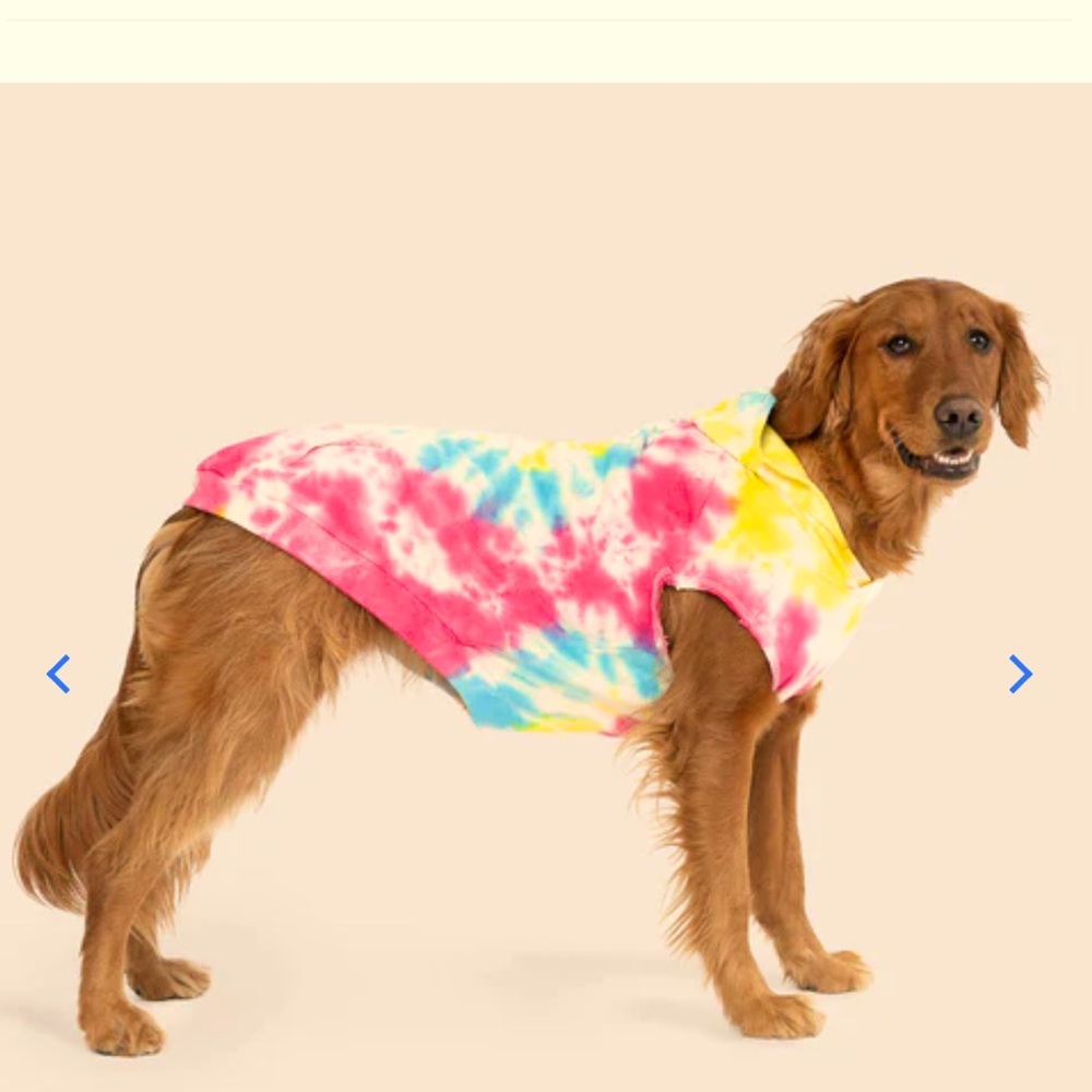 CANADA POOCH LTD. “NO AUTHORITY HOODIE” *one of a kind* hand-dyed (NEW w/Tag)